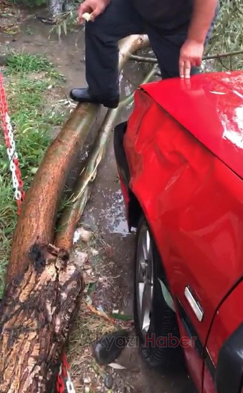 Ağaç Otomobilin Üzerine Devrildi