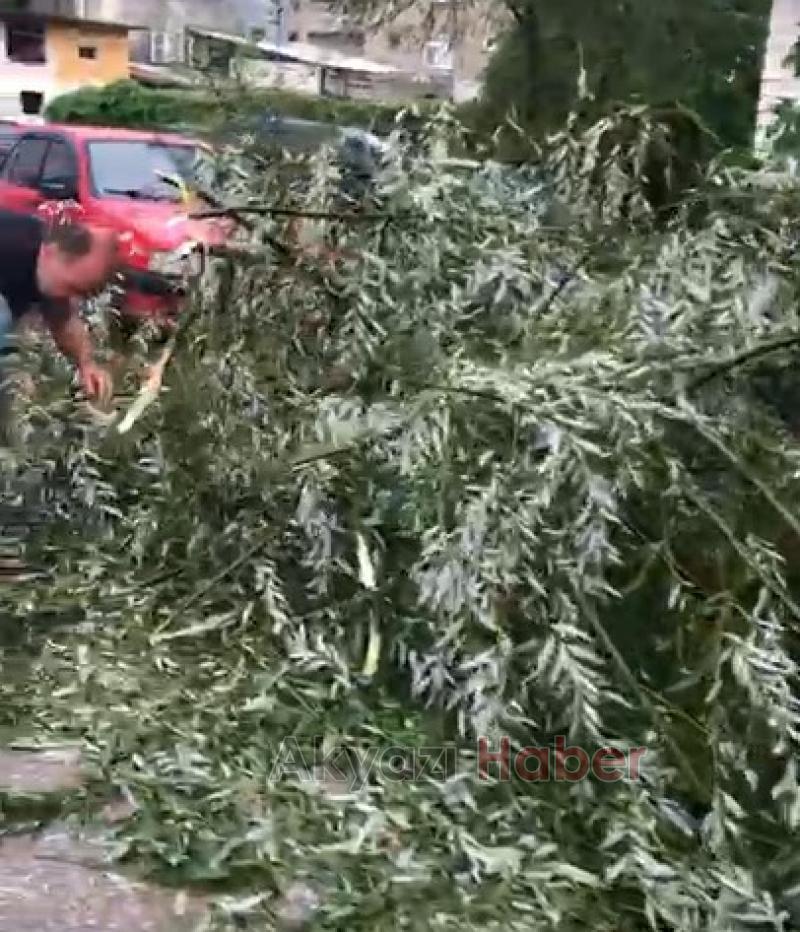 Ağaç Otomobilin Üzerine Devrildi