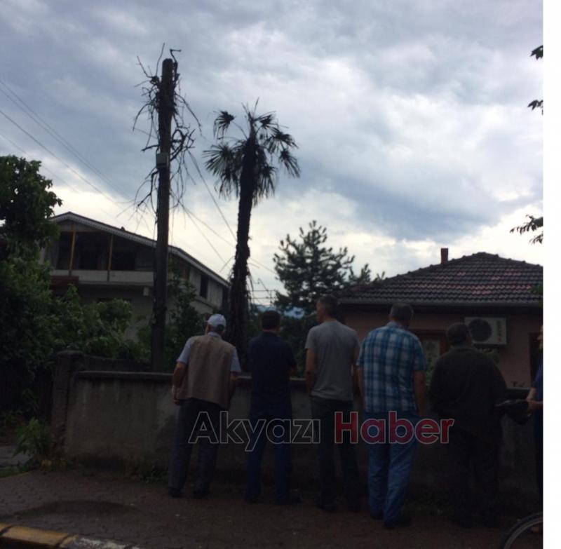 Ağaca Yıldırım Düştü 