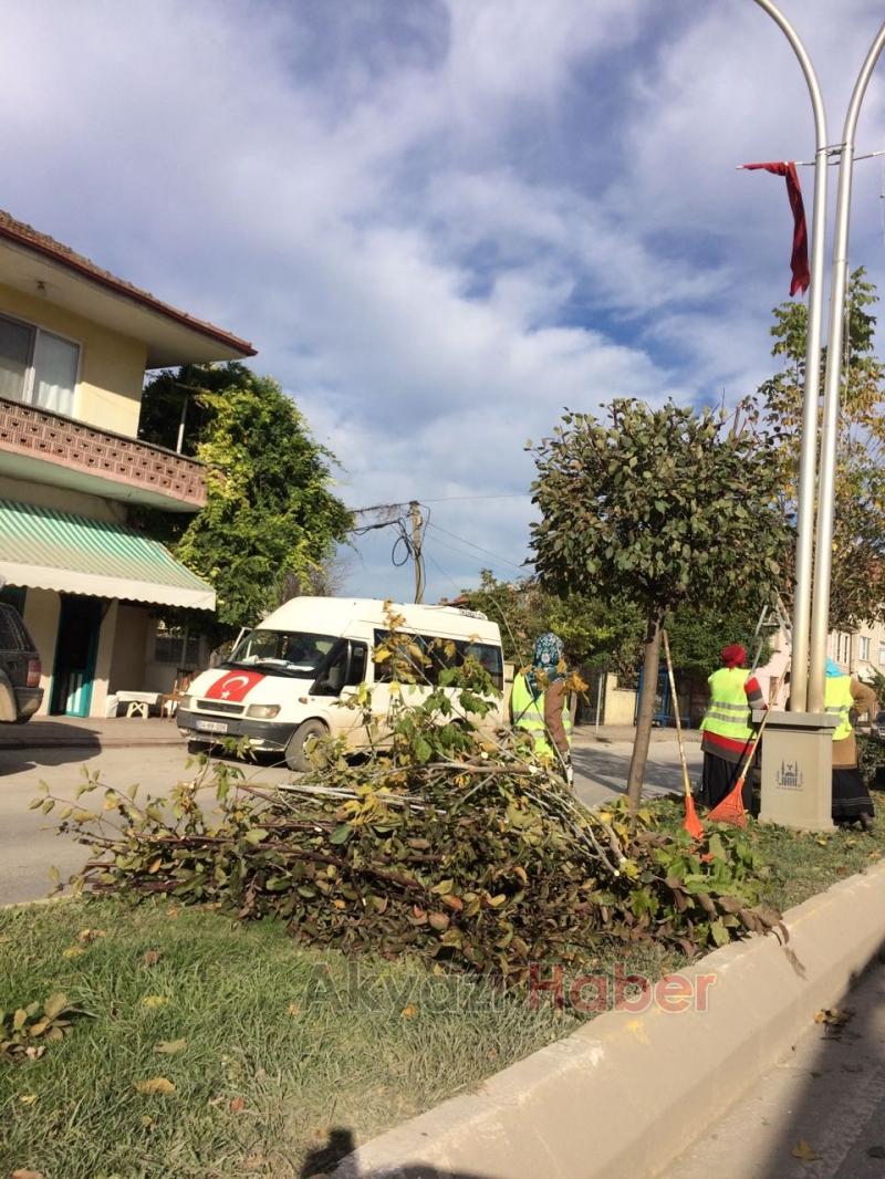 Ağaçlar Budandı Yapraklar Temizlendi