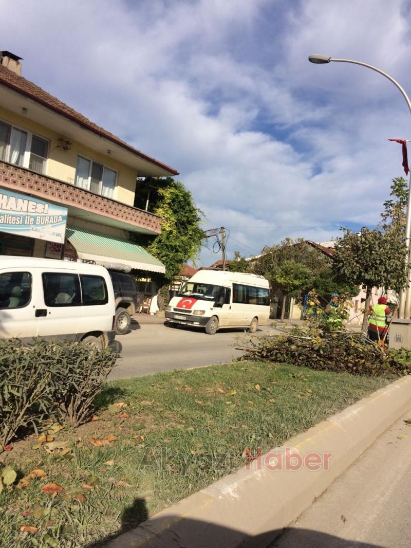 Ağaçlar Budandı Yapraklar Temizlendi