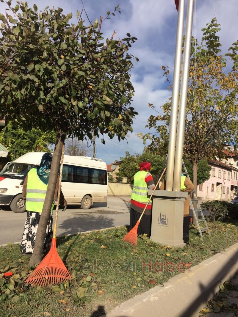 Ağaçlar Budandı Yapraklar Temizlendi