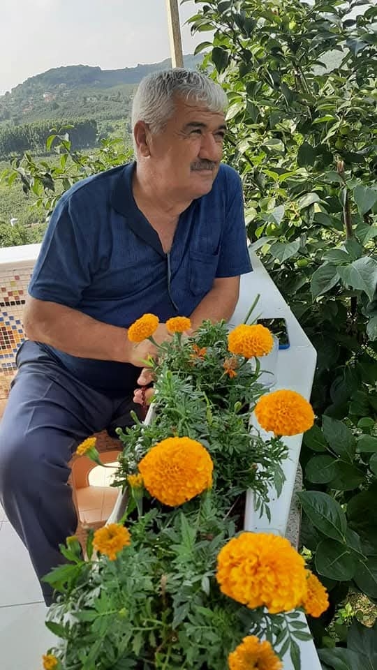 Ağaçtan düştü, kurtarılamadı