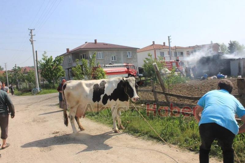 Ahır Yangını Korkuttu