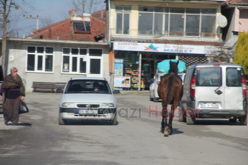 Ahırdan kaçan at tehlike oluşturdu