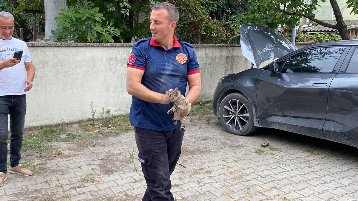 Akyazı 1 Nolu Sağlık Ocağı’nda Kedi Operasyonu: Arabadan Arabaya Kaçtı, Sonunda Doğaya Salındı!