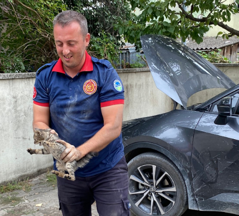 Akyazı 1 Nolu Sağlık Ocağı’nda Kedi Operasyonu: Arabadan Arabaya Kaçtı, Sonunda Doğaya Salındı!