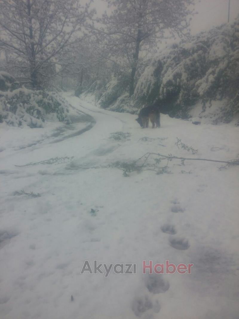 Akyazı 23 Nisana Karla Uyandı