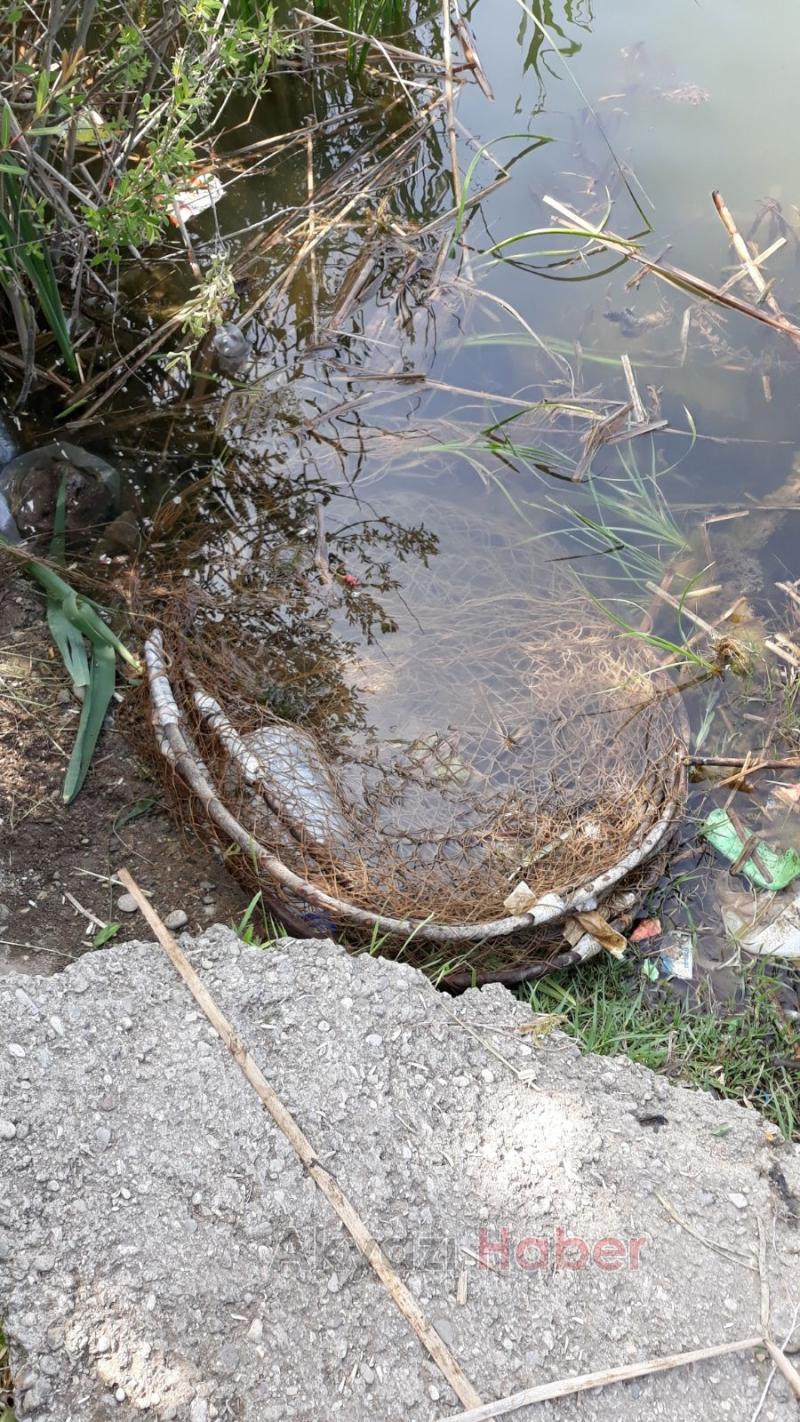 Akyazı Avcılar ve Balıkçılar Grubundan Gölde Temizlik