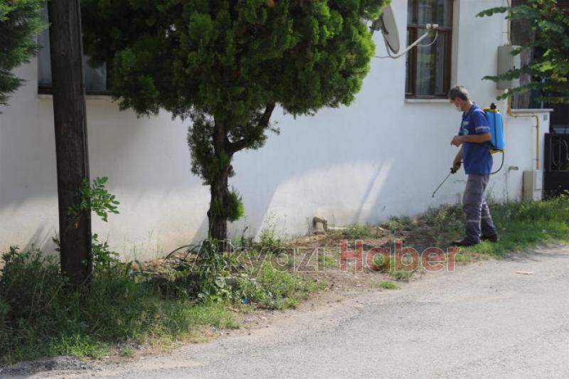Akyazı Belediyesi Sağlık İşleri Ekiplerinden Kapsamlı İlaçlama
