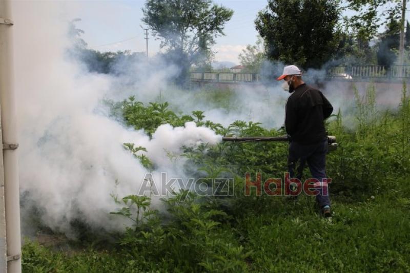 Akyazı Belediyesi Sağlık İşleri Ekiplerinden Kapsamlı İlaçlama
