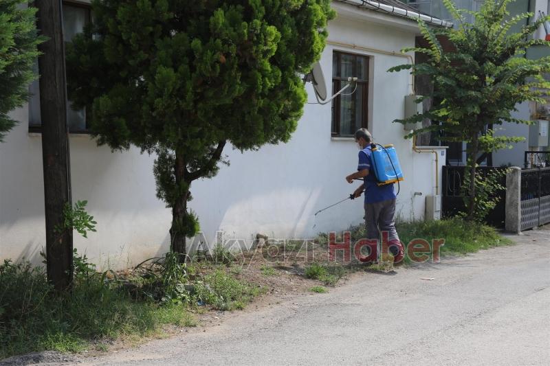 Akyazı Belediyesi Son Zamanlarda Artan Tırtıl İle Mücadelede