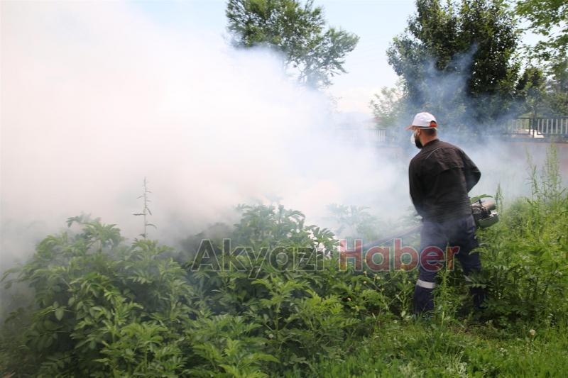 Akyazı Belediyesi Son Zamanlarda Artan Tırtıl İle Mücadelede