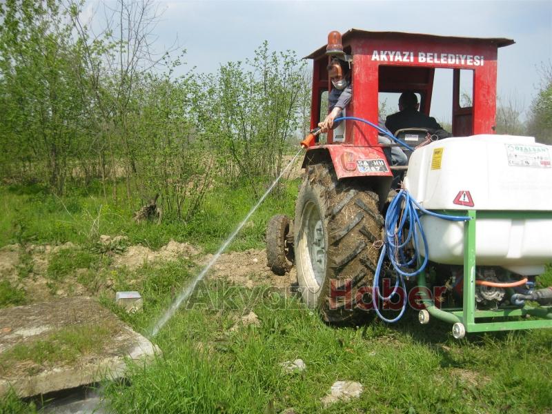 Akyazı Belediyesi Son Zamanlarda Artan Tırtıl İle Mücadelede