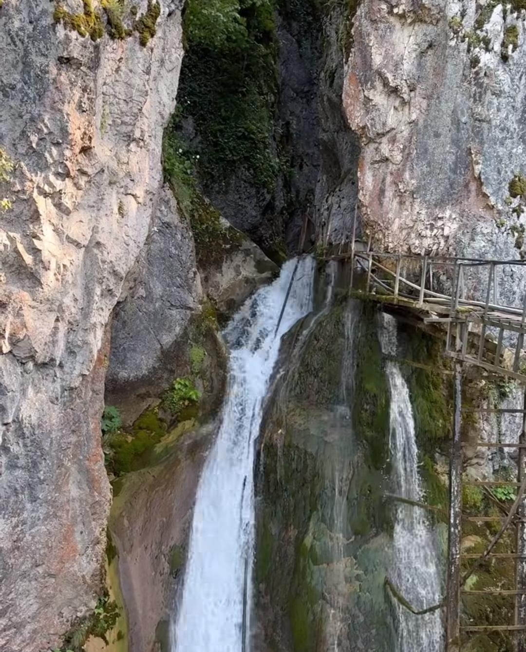 Akyazı boztepe’de doğanın saklı güzelliği