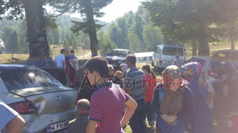 Akyazı Hanyatak Mahallesi Acelle yaylasında freni boşalan araç gölete uçtu