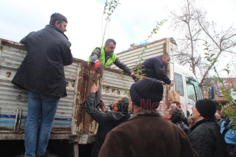 Akyazı da Dünya Ormancılık Günü nde 3 bin 500 fidan dağıtıldı