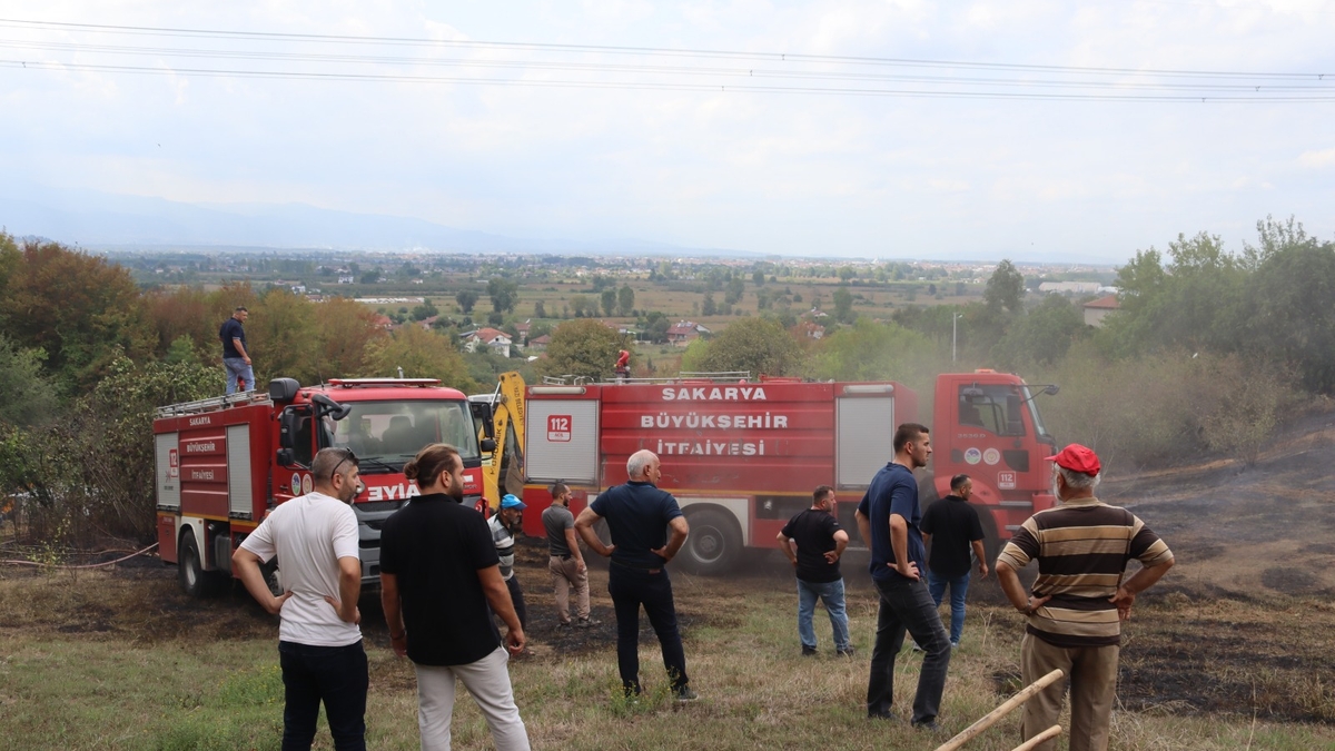 Akyazı'da fındıklık yangını