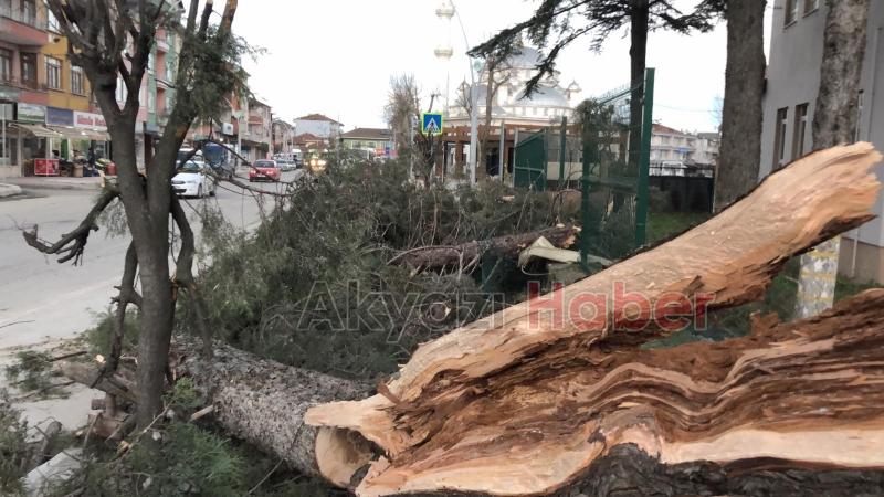 Akyazı da fırtına yıkıp geçti