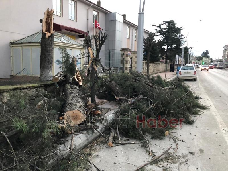 Akyazı da fırtına yıkıp geçti