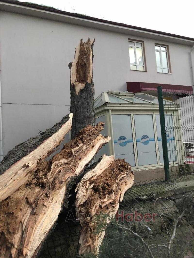 Akyazı da fırtına yıkıp geçti