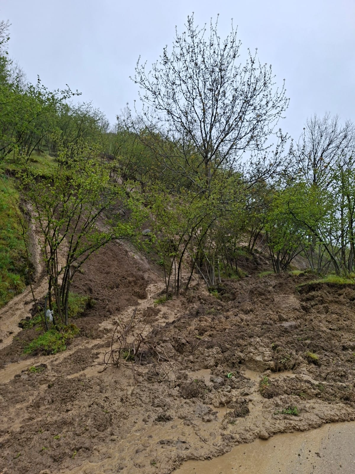 Akyazı'da heyelan; Yol ulaşıma kapandı