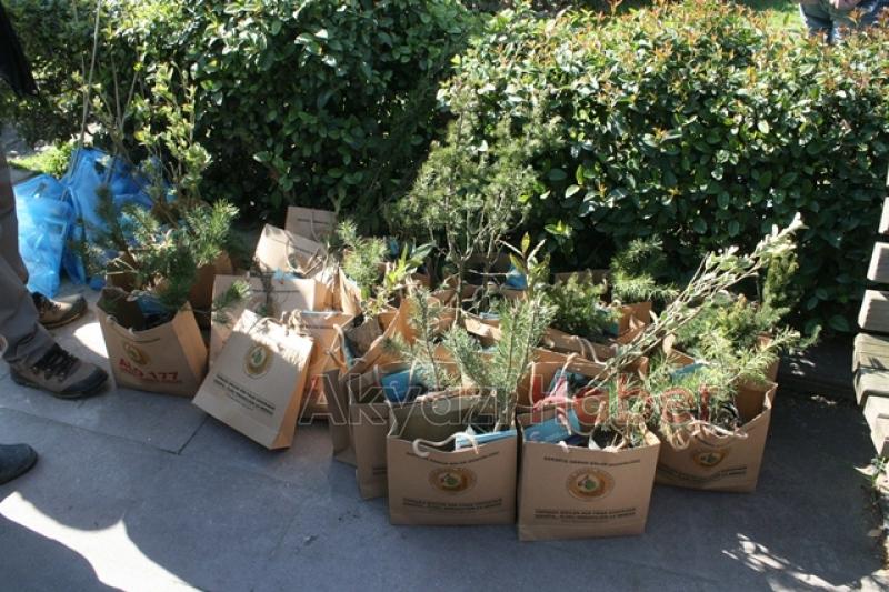 Akyazı da  Orman Haftası Etkinliği