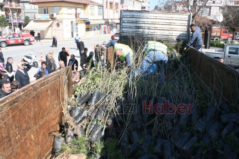 Akyazı da  Orman Haftası Etkinliği