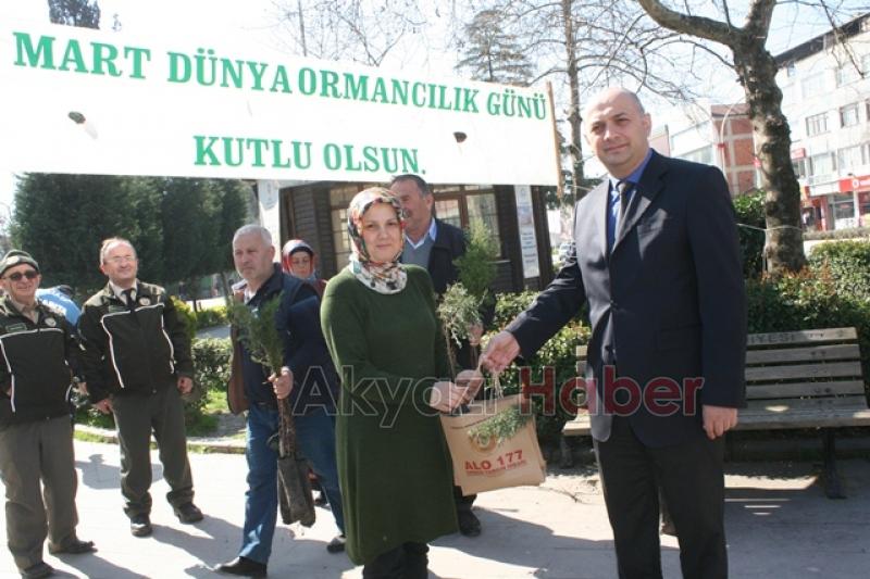 Akyazı da  Orman Haftası Etkinliği