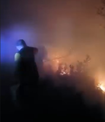 Akyazı'da orman yangını kontrol altına alındı