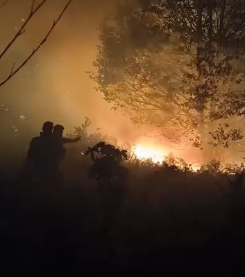 Akyazı'da orman yangını kontrol altına alındı