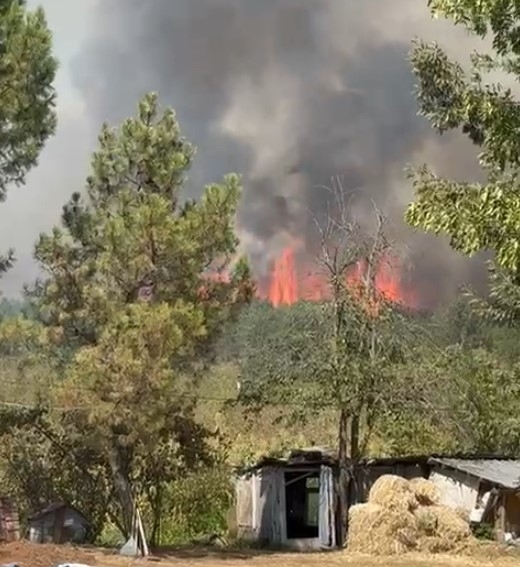 Akyazı'da orman yangını söndürüldü