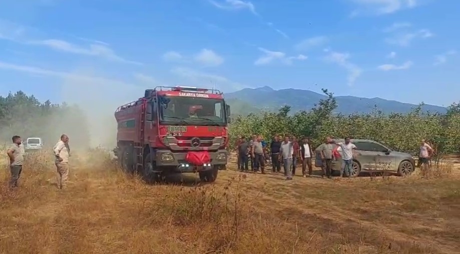 Akyazı'da orman yangını söndürüldü
