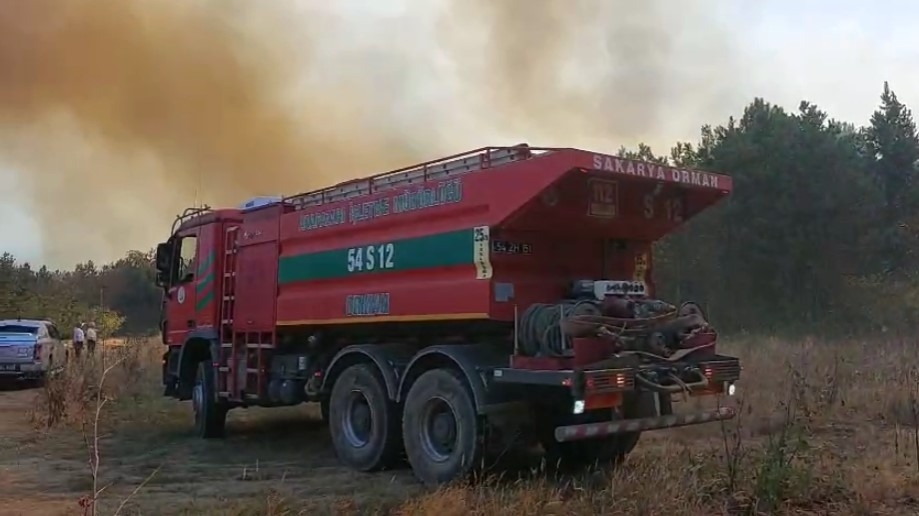 Akyazı'da orman yangını söndürüldü