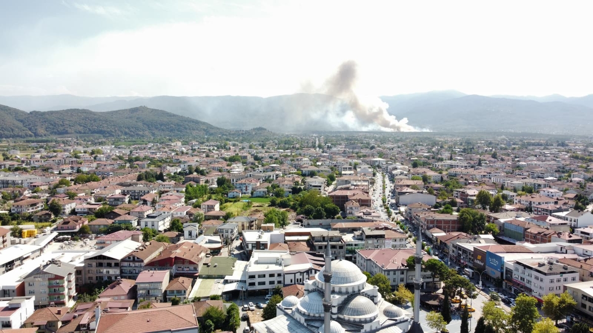 Akyazı'da orman yangını söndürüldü