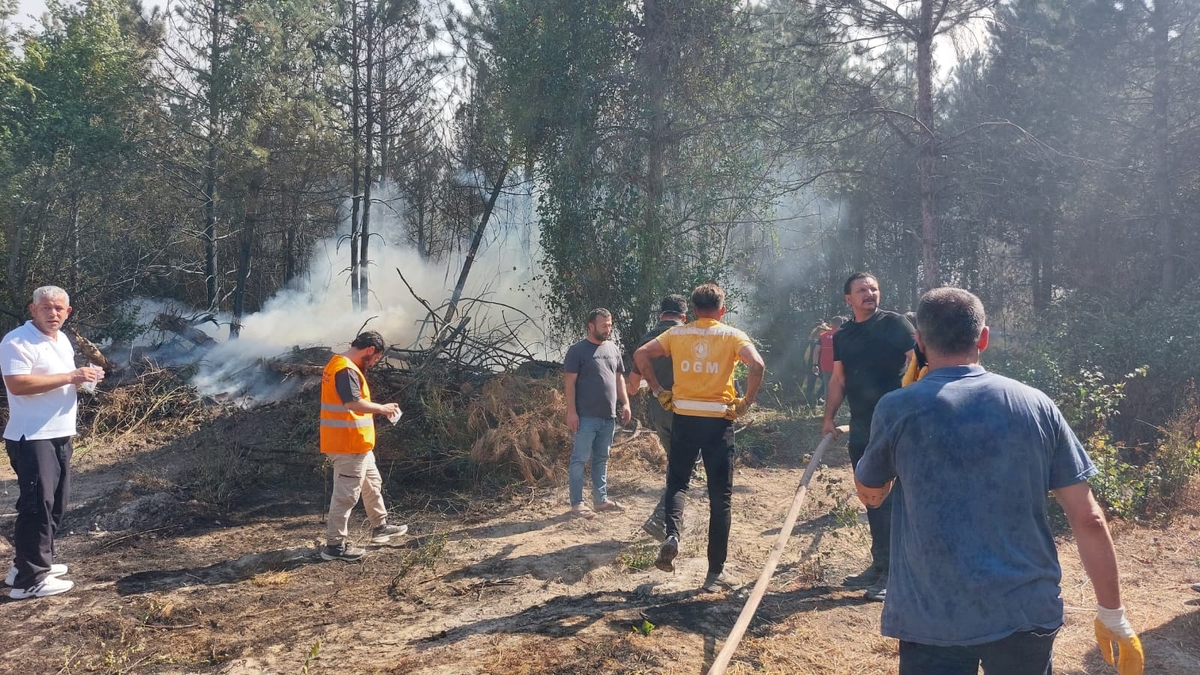 Akyazı'da orman yangını söndürüldü