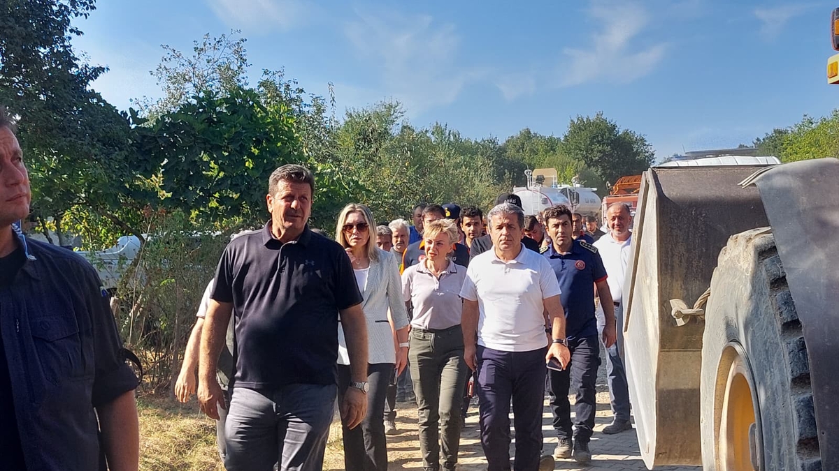 Akyazı'da orman yangını söndürüldü