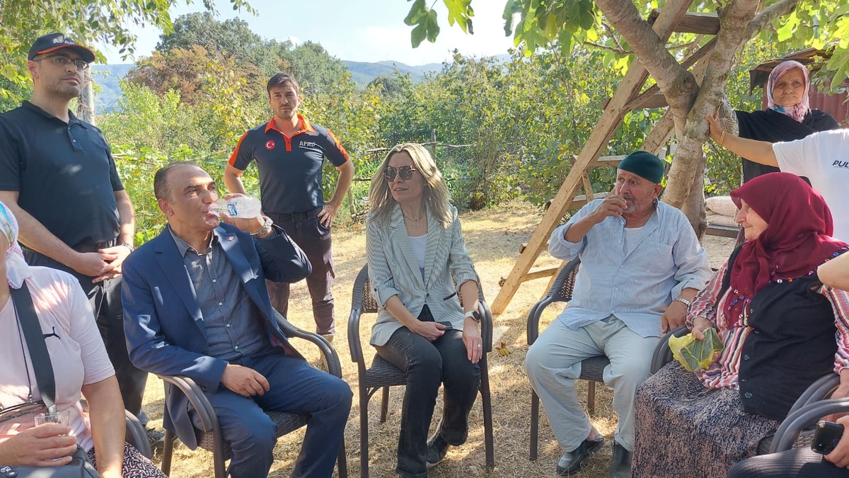 Akyazı'da orman yangını söndürüldü