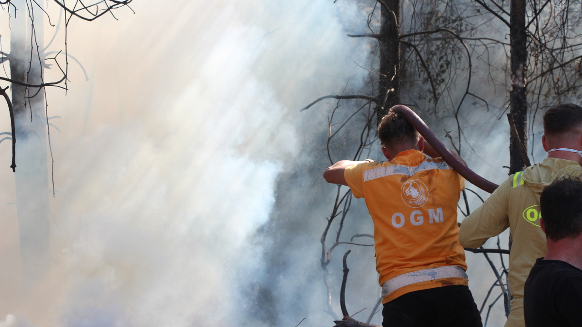 Akyazı'da orman yangını söndürüldü