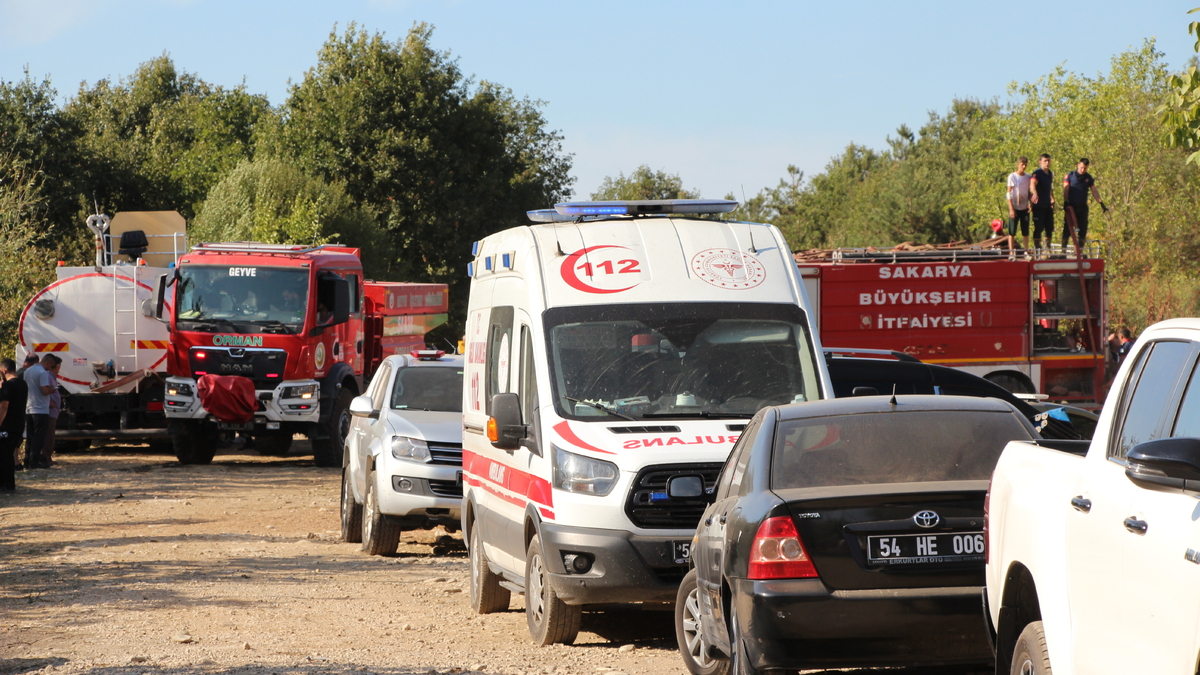Akyazı'da orman yangını söndürüldü
