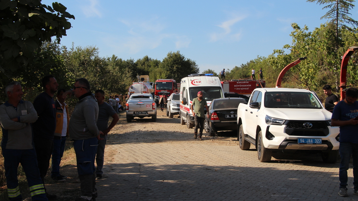 Akyazı'da orman yangını söndürüldü