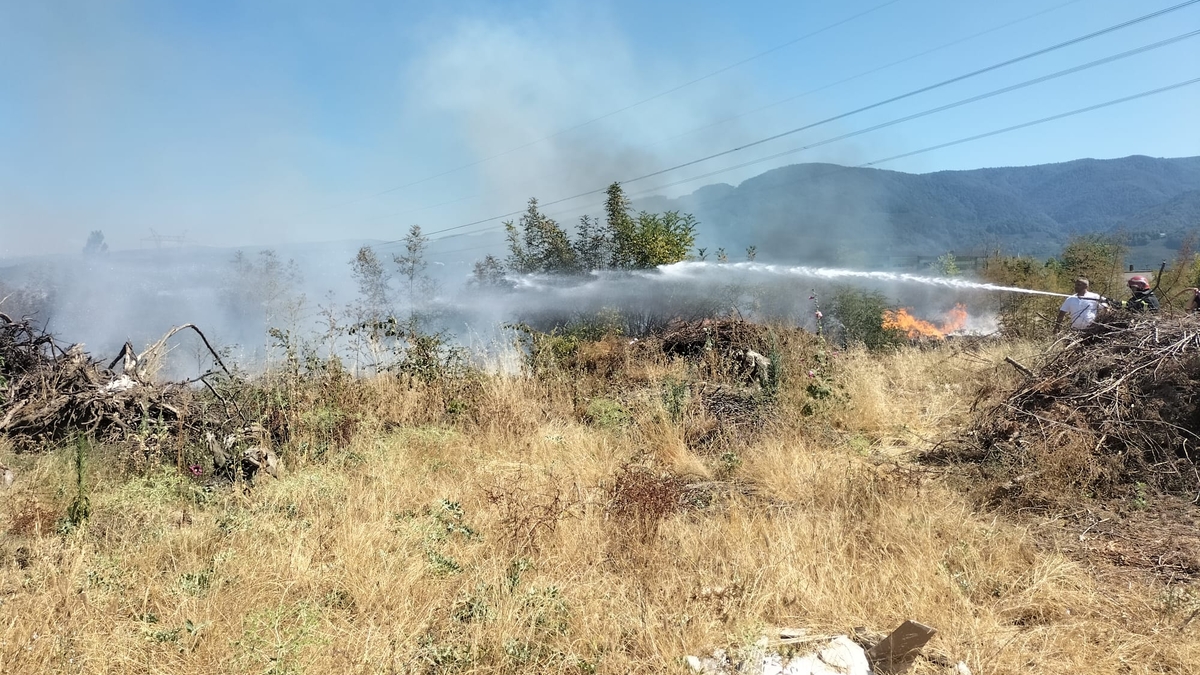 Akyazı'da otluk alanda çıkan yangın evlere ulaşmadan söndürüldü