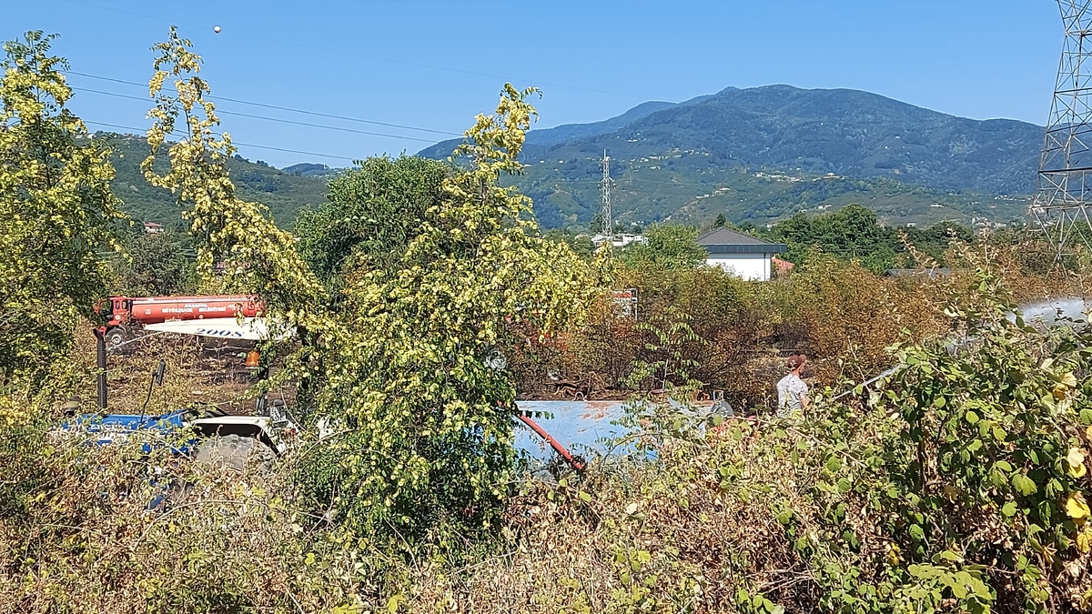 Akyazı'da otluk alanda çıkan yangın evlere ulaşmadan söndürüldü