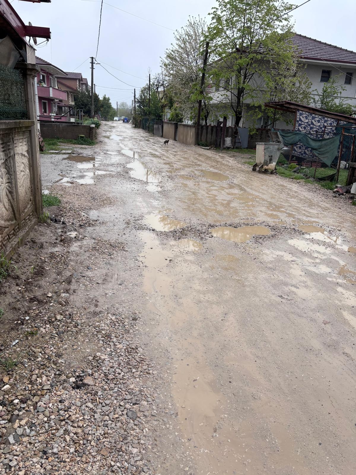 Akyazı'da vatandaşın çamur ve çukur şikayeti
