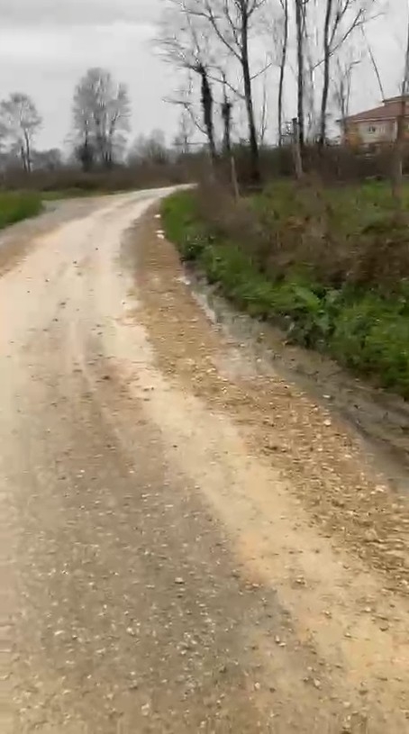 Akyazı da Yollarla ilgili şikayet yağıyor