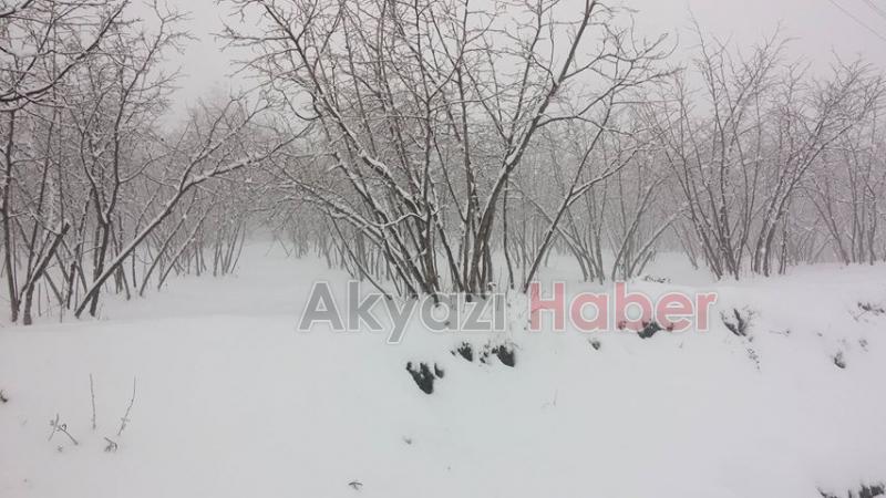 AKYAZI'DA YÜKSEK KESİMLER KARLA KAPLANDI