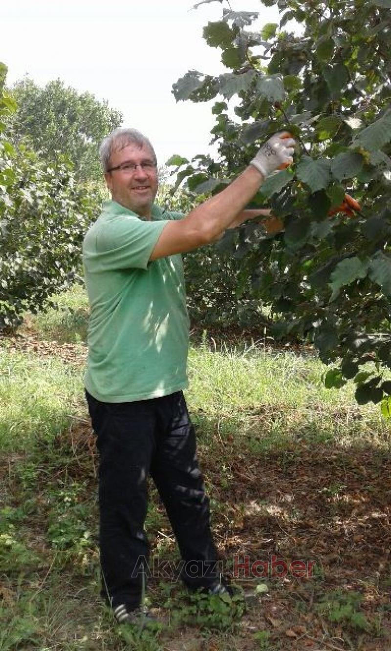 Akyazı Fındık Toplamaya Başladı