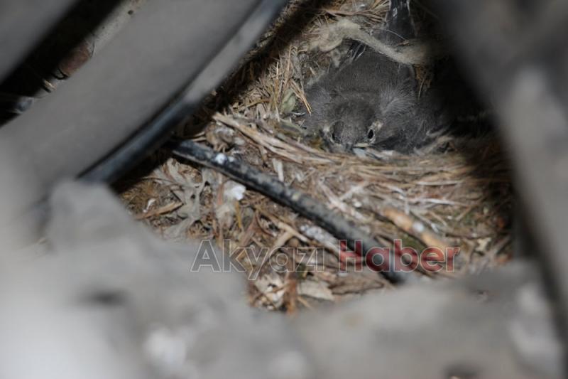 Akyazı Gebze arası Seyehat ettiler