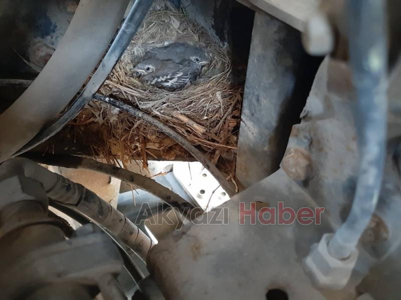 Akyazı Gebze arası Seyehat ettiler