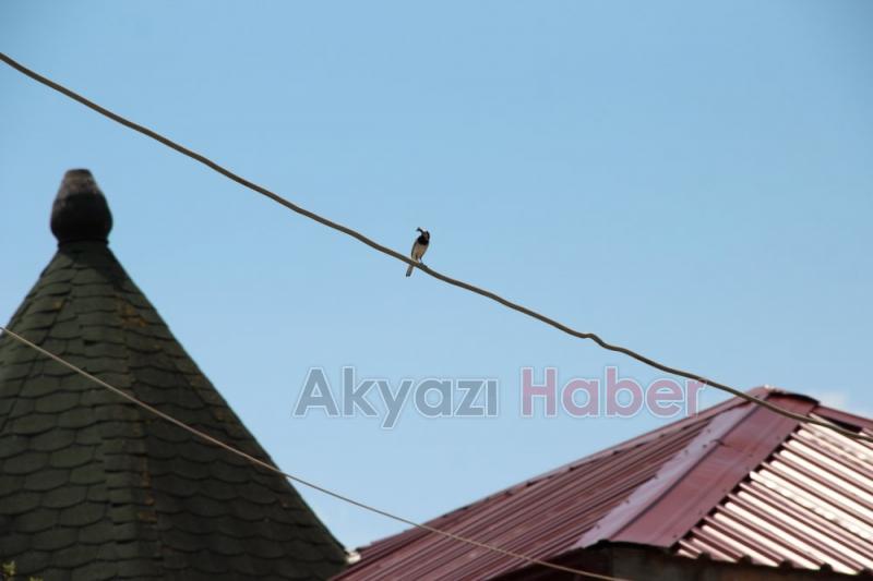 Akyazı Gebze arası Seyehat ettiler